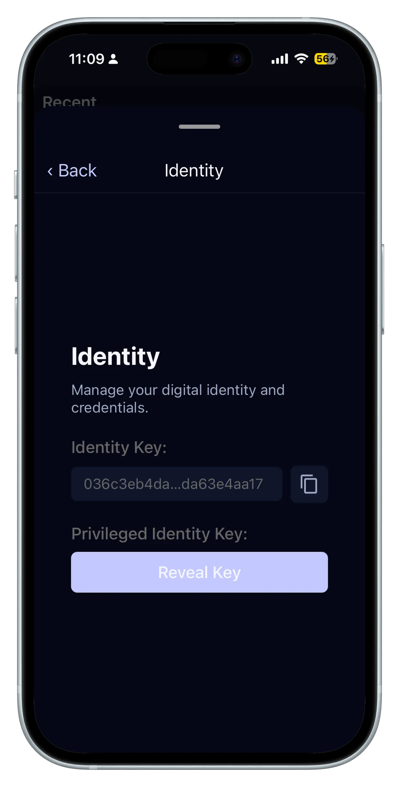 View of Metanet Explorer identity controls